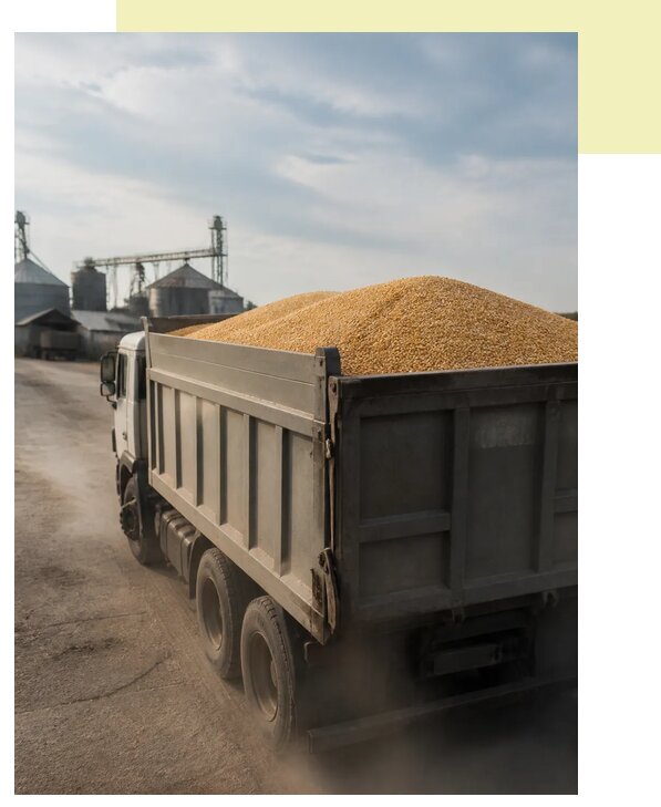 Перевозка сельхозпродукции навалом в Саранск по цене от 3161 р. | Агросервис-Срн